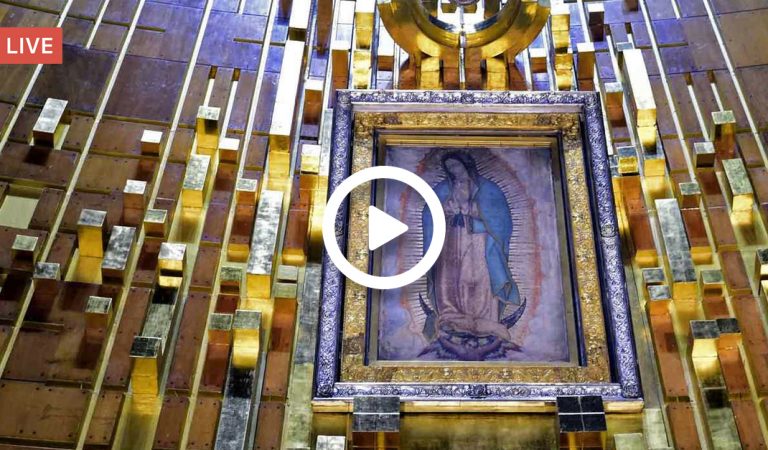 ¡Felicita a nuestra madre Maria! Transmisión en vivo desde la Basílica